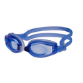 Antifog Optical Pro II Goggles