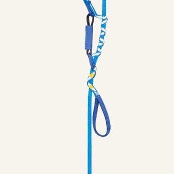Beal ESCAPER  Rappel Device-Blue or Pink