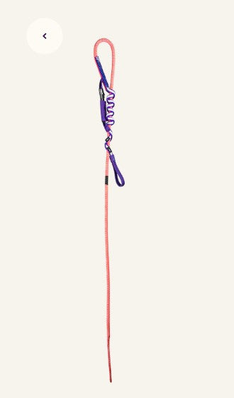 Beal ESCAPER  Rappel Device-Blue or Pink