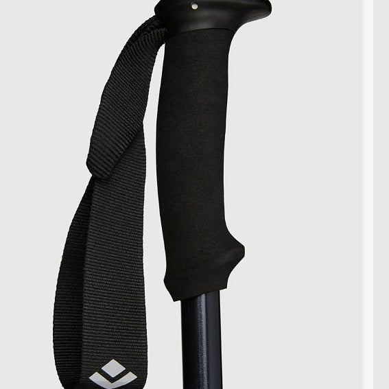 Black Diamond EXPLORER 2 Trekking Poles