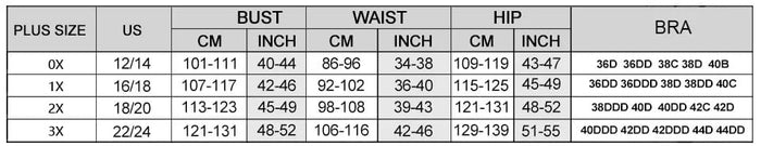 Bow Knot Plus Size High Waist Bikini Set