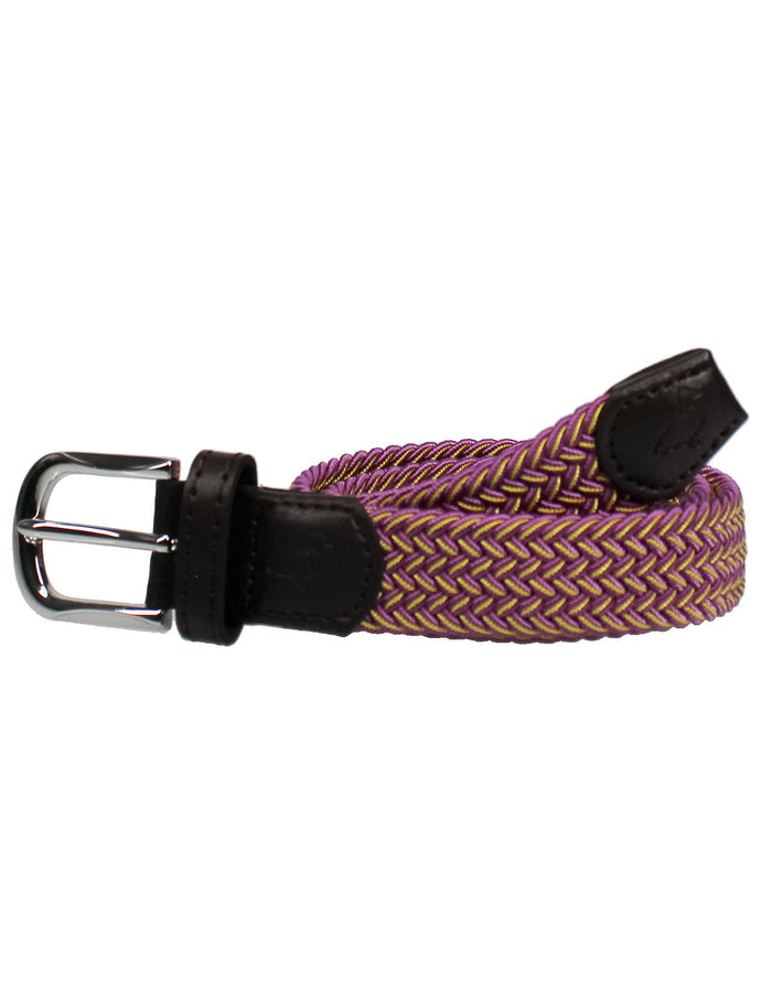 Boys Country Club Stretch Belt Purple And Gold