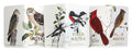 Field Notes Redstart, Cardinal, Redshoulder Hawk- 3 pack