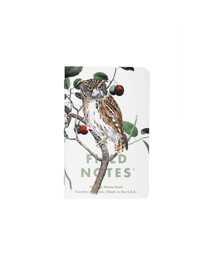 Field Notes  Screech Owl, Blue Jay, Brewer Sparrow